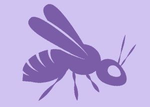 Purple Wasp-LG